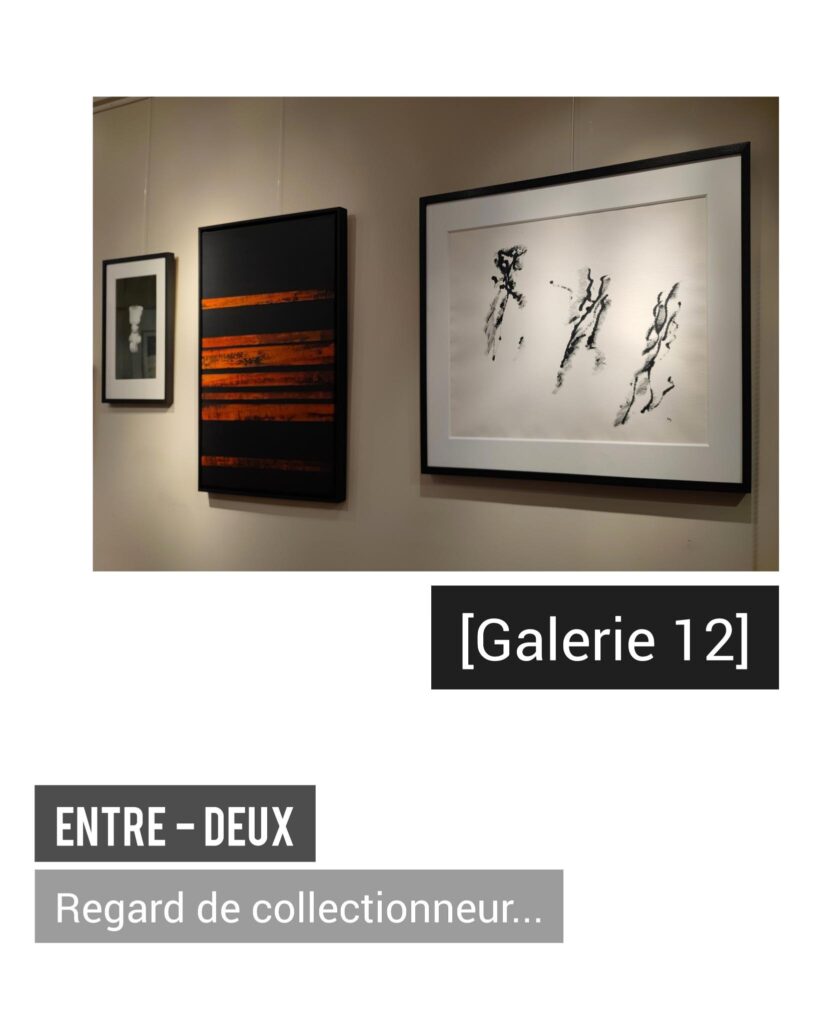 Galerie 12, Regard de collectionneur